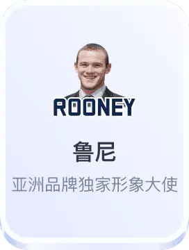 鲁尼