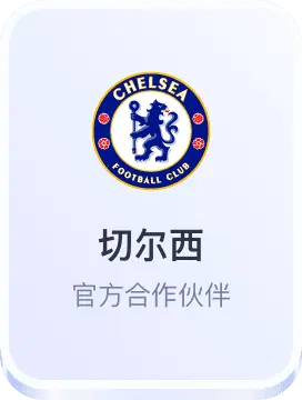 切尔西